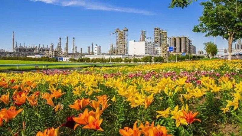 上海工程塑料供应商选择：如何规避误区，确保品质**